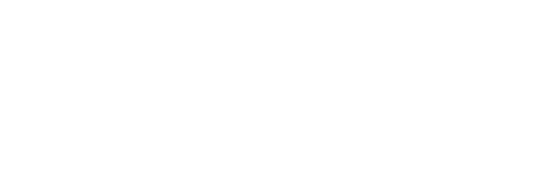 Vivalis Logo